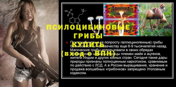 apvp Аркадак