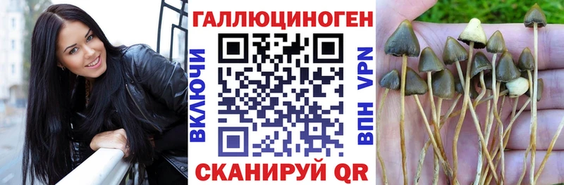ОМГ ОМГ ссылки Сурск Псилоцибиновые грибы мухоморы